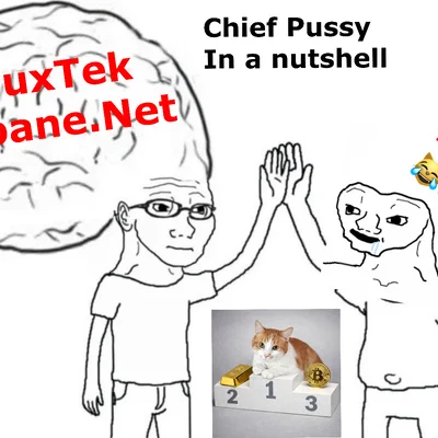 My $ChiefPussy theory