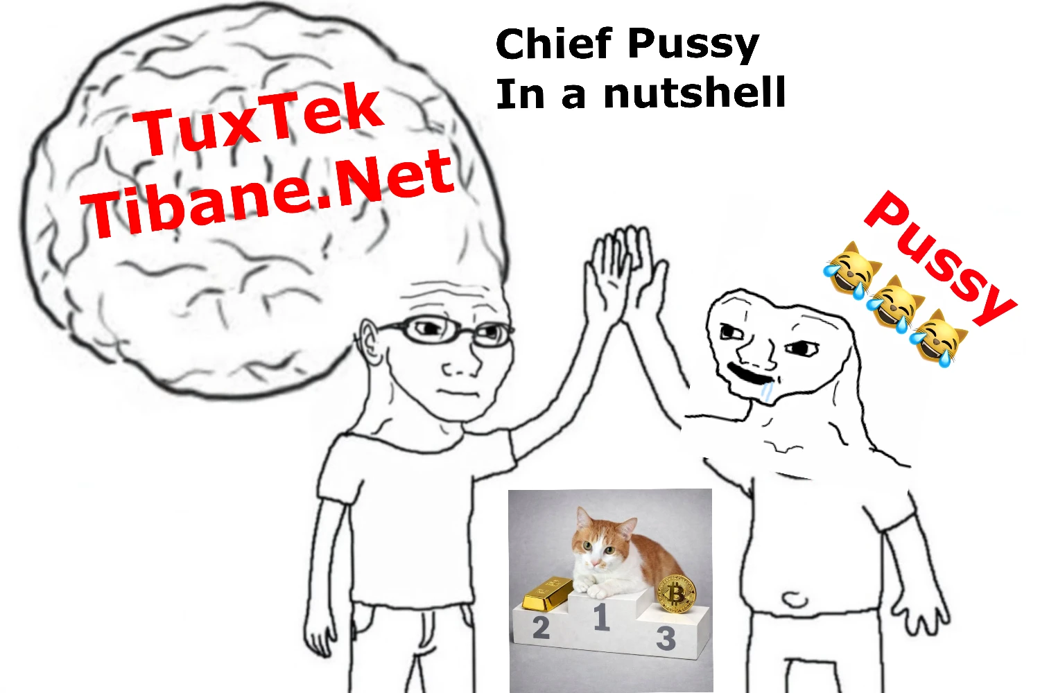My $ChiefPussy theory