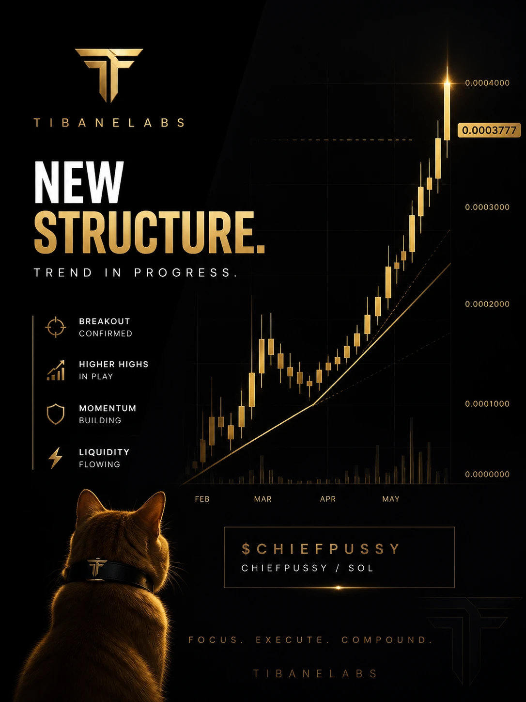New structure